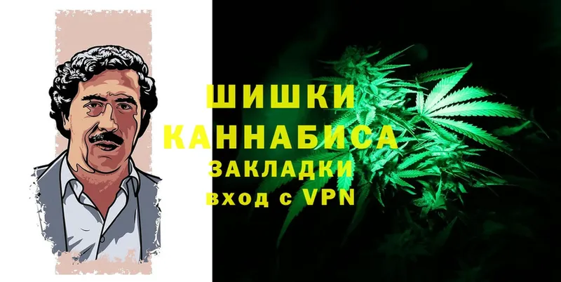 Канабис White Widow  где продают наркотики  Малая Вишера 